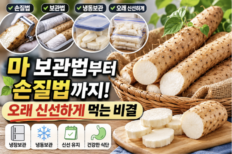 마 보관법부터 손질법까지, 오래 신선하게 먹는 방법