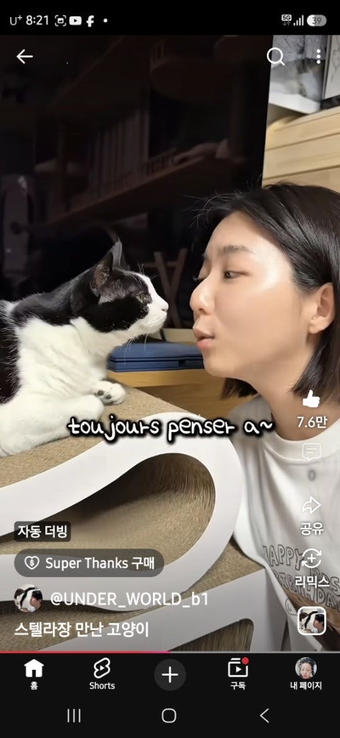 두꺼비포차 사진 3