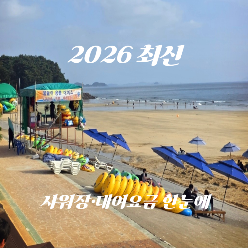 대천해수욕장 최신 이용정보｜샤워장·파라솔·평상 대여 총정리