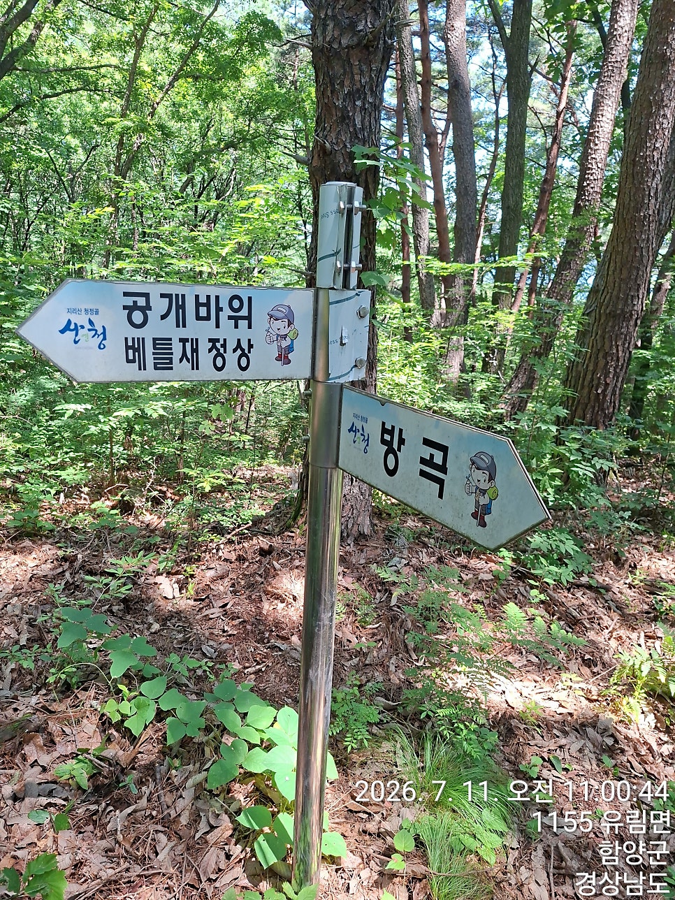 꽃봉산 사진 4