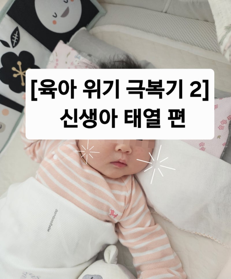 [육아 위기 극복기 2] 초보엄마 신생아 태열 극복 후기｜생후 1개월 아기 태열 관리 과정