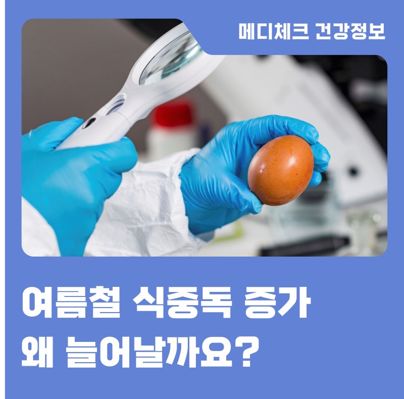 여름철 식중독 주의! 살모넬라균 · 비브리오 패혈증 증상과 예방법