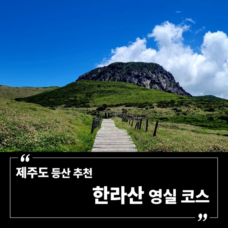 제주도 등산 추천 | 한라산 영실코스 초보자 코스로 예약 없이 윗세오름까지 (백록담 안 가도....