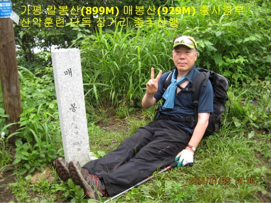 음악의숲 사진 3