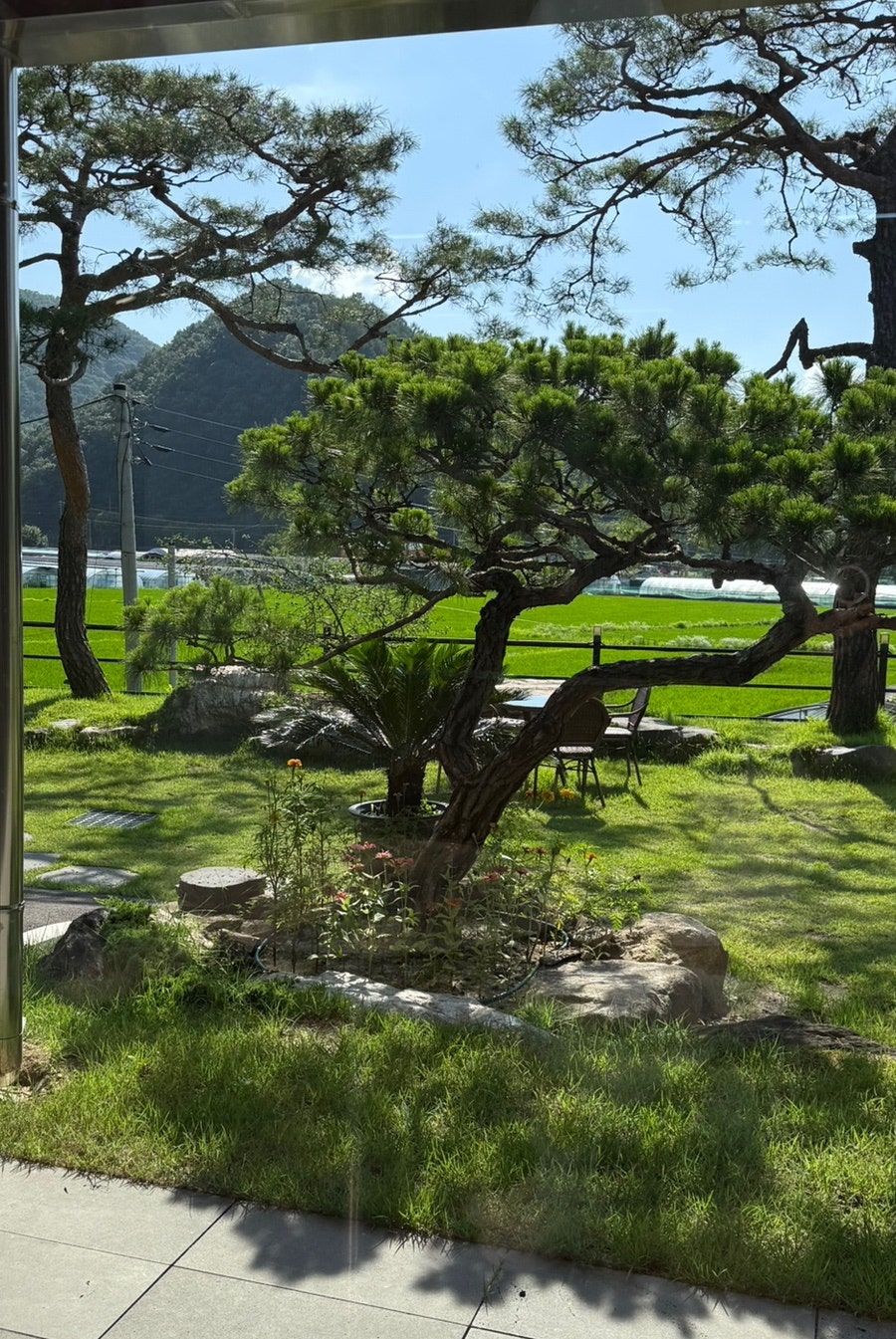 금산불쭈꾸미 사진 5
