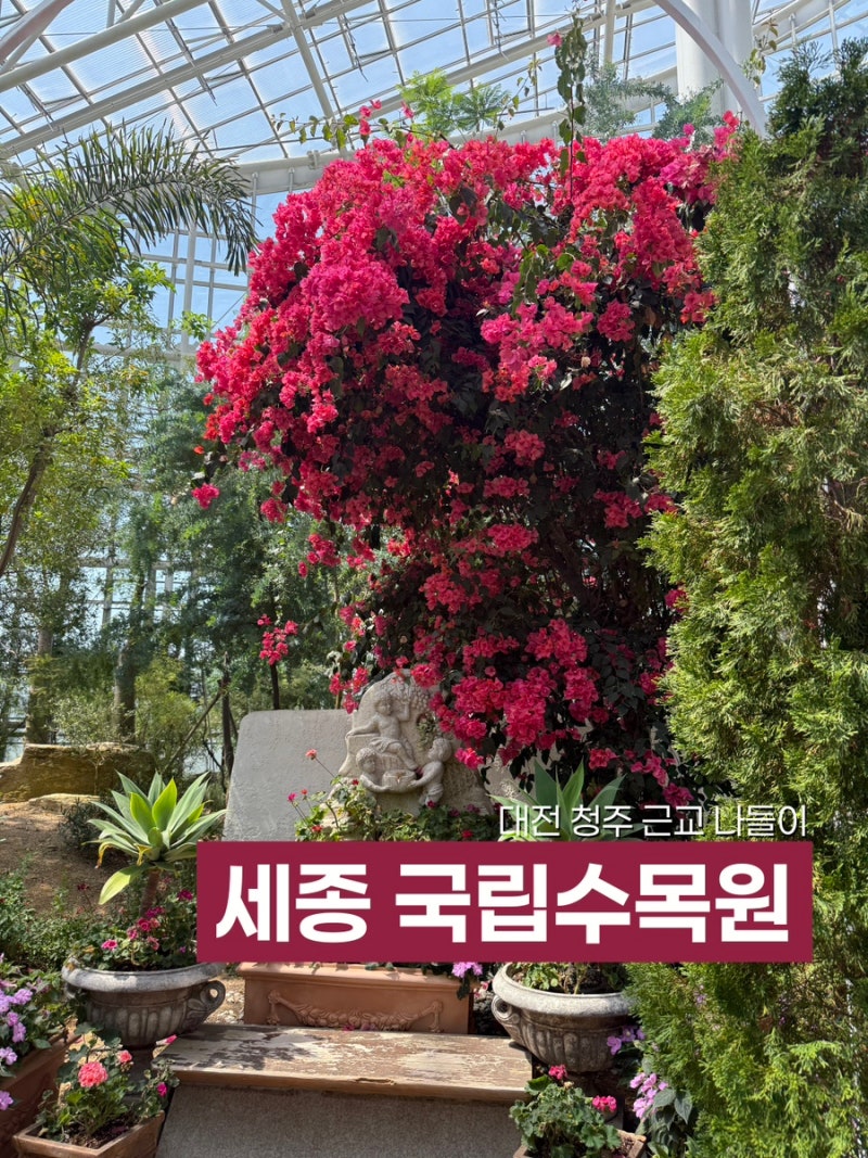 세종 가볼 만한 곳 국립세종수목원 입장료 양산 대여 후기