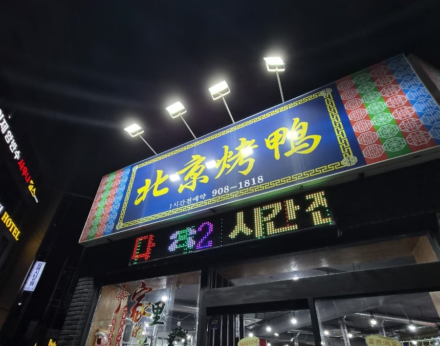 북경오리 사진 1