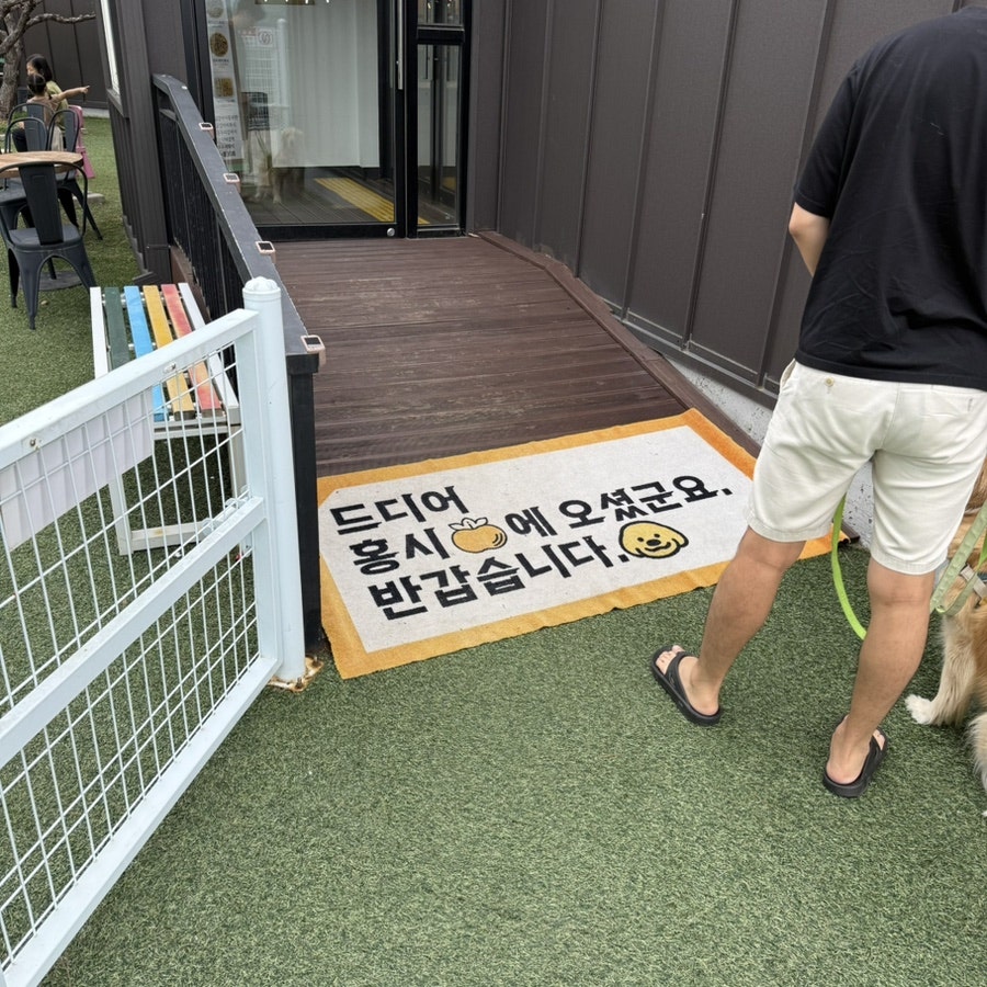 홍시 사진 3
