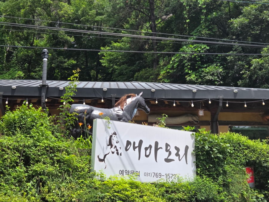 애마오리 사진 1