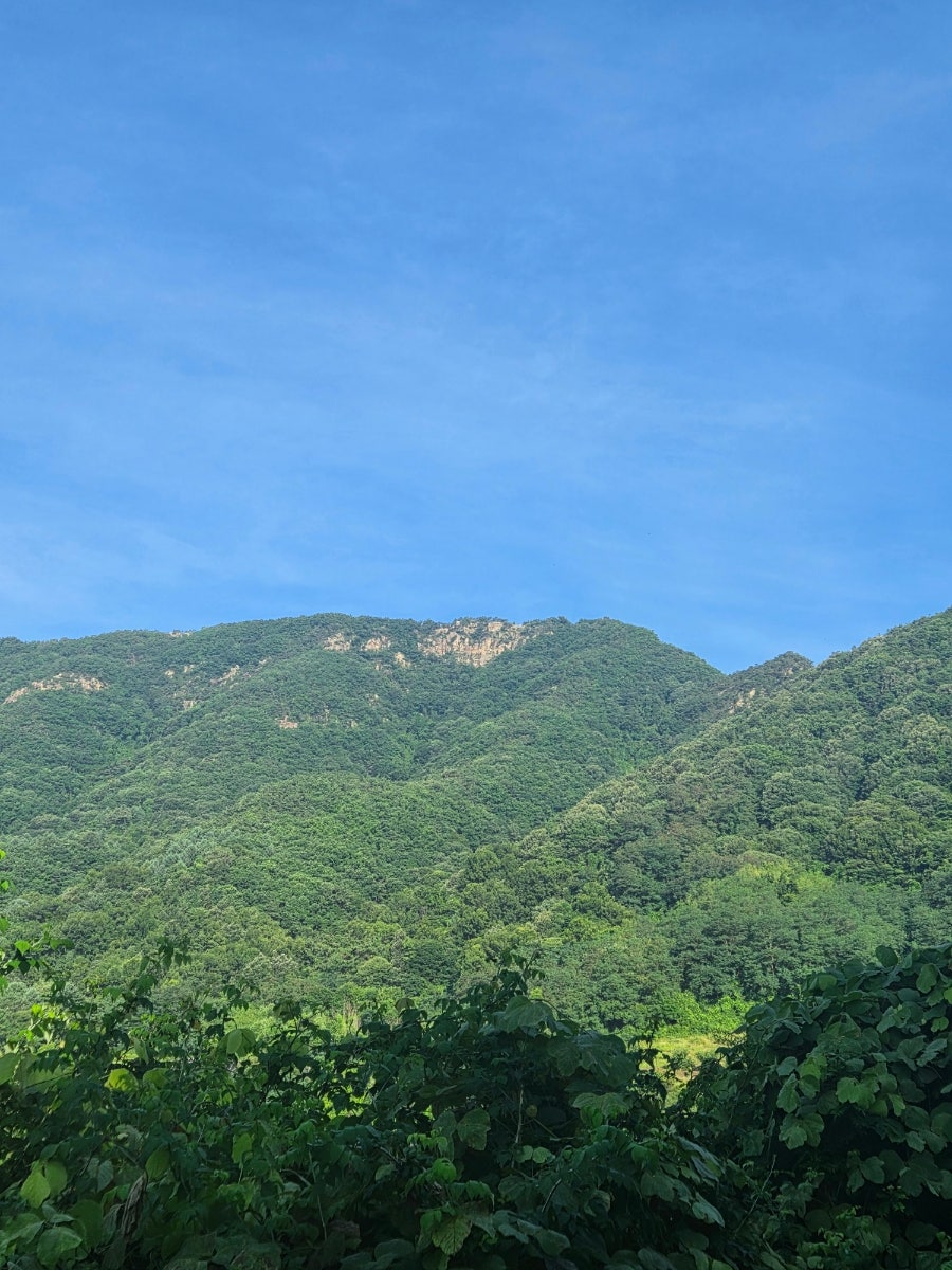 진악산 사진 6