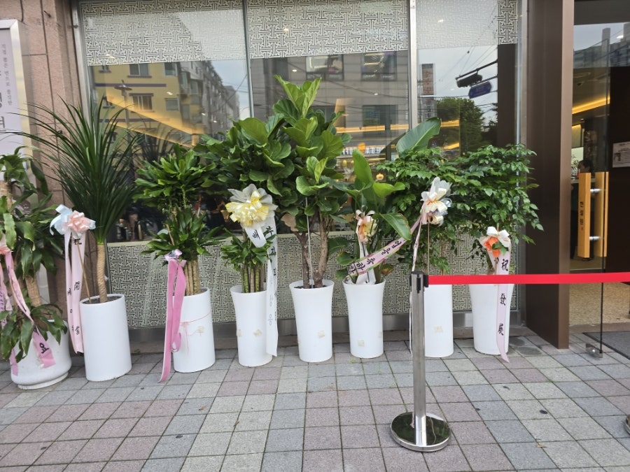 한설원 사진 4