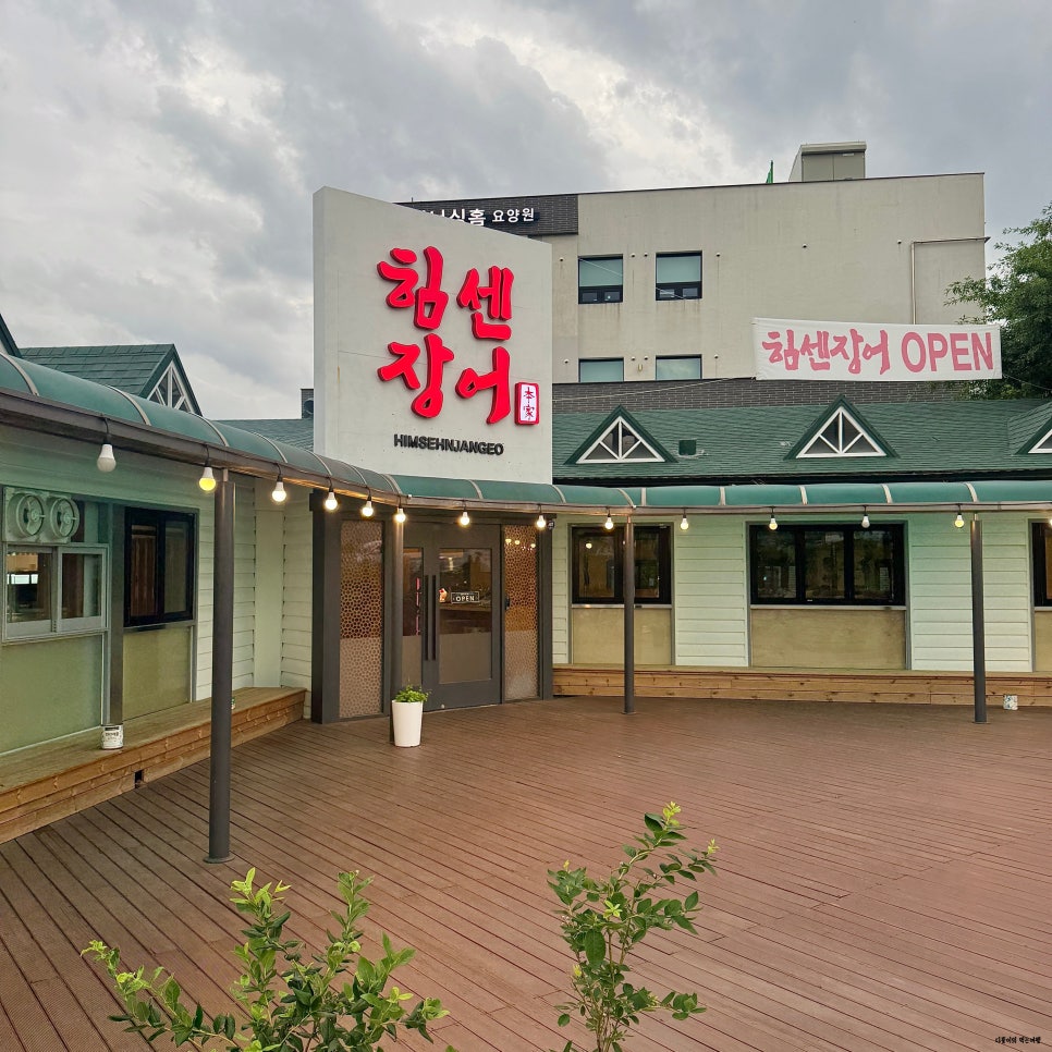 힘센풍천장어 사진 2