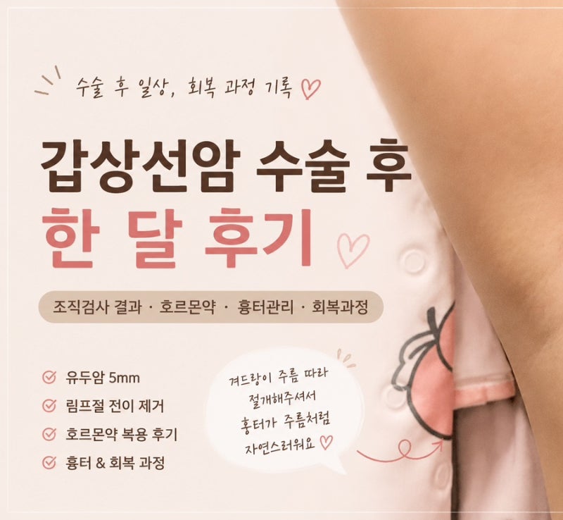 갑상선암 수술 후 한 달 후기｜조직검사 결과부터 호르몬약, 흉터, 회복까지