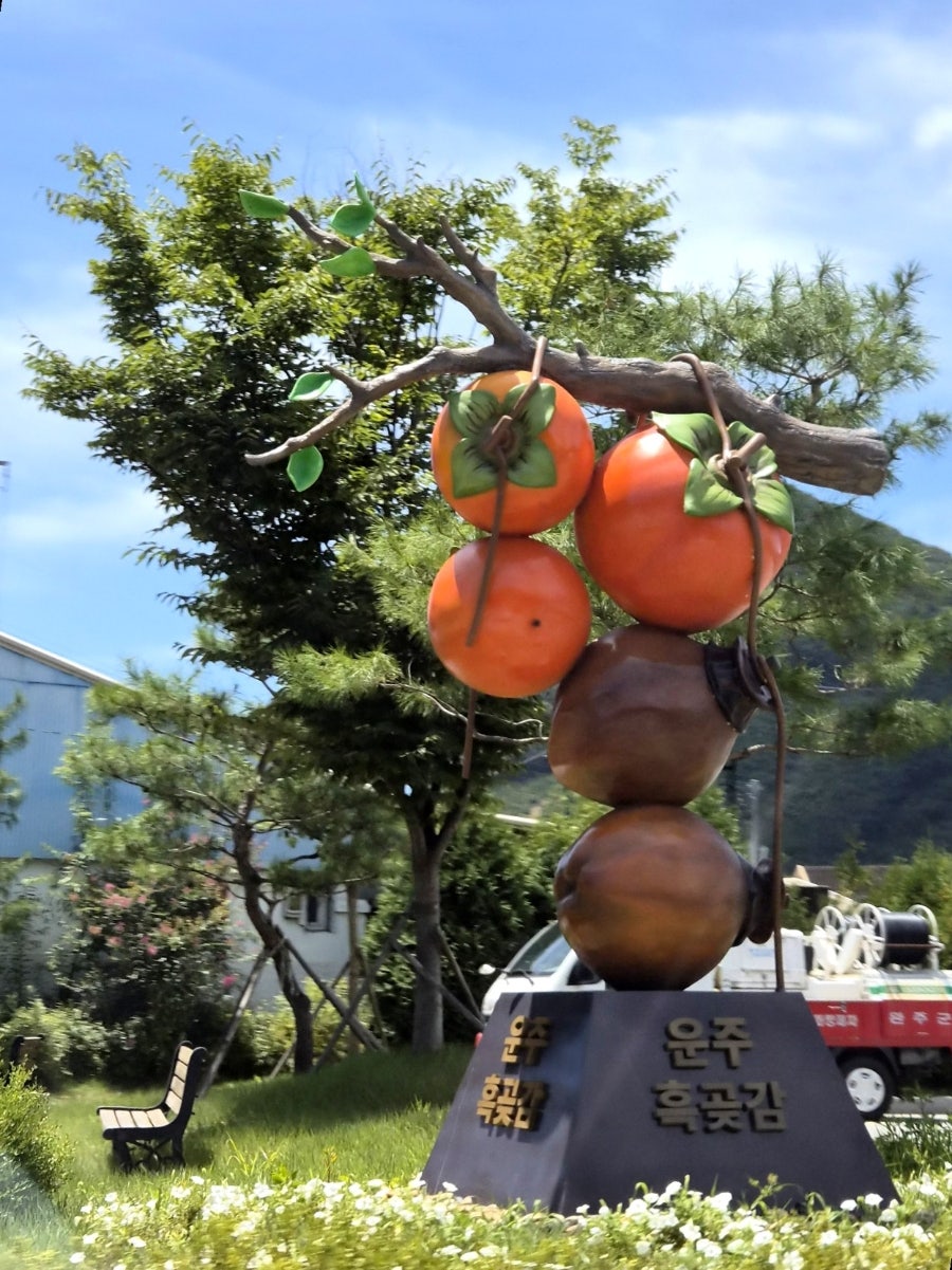 대둔산운주계곡일번지 사진 1