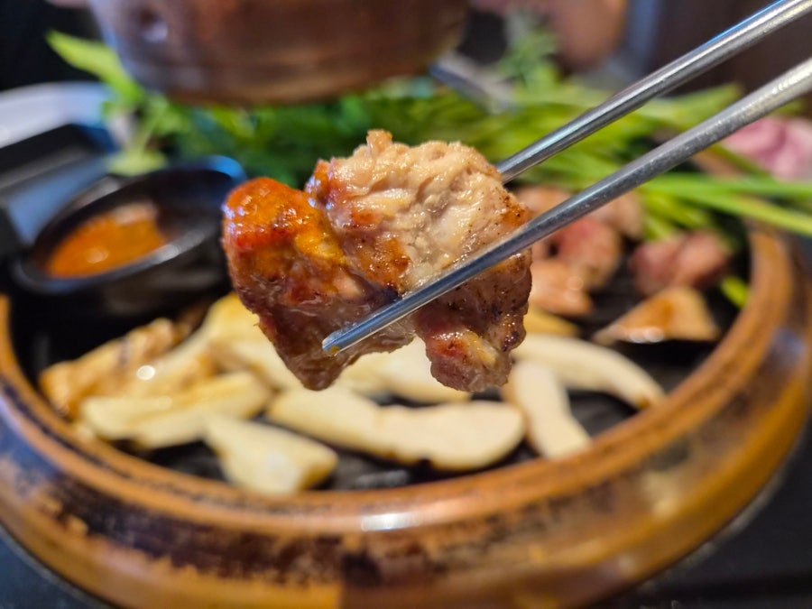 함돈 사진 1