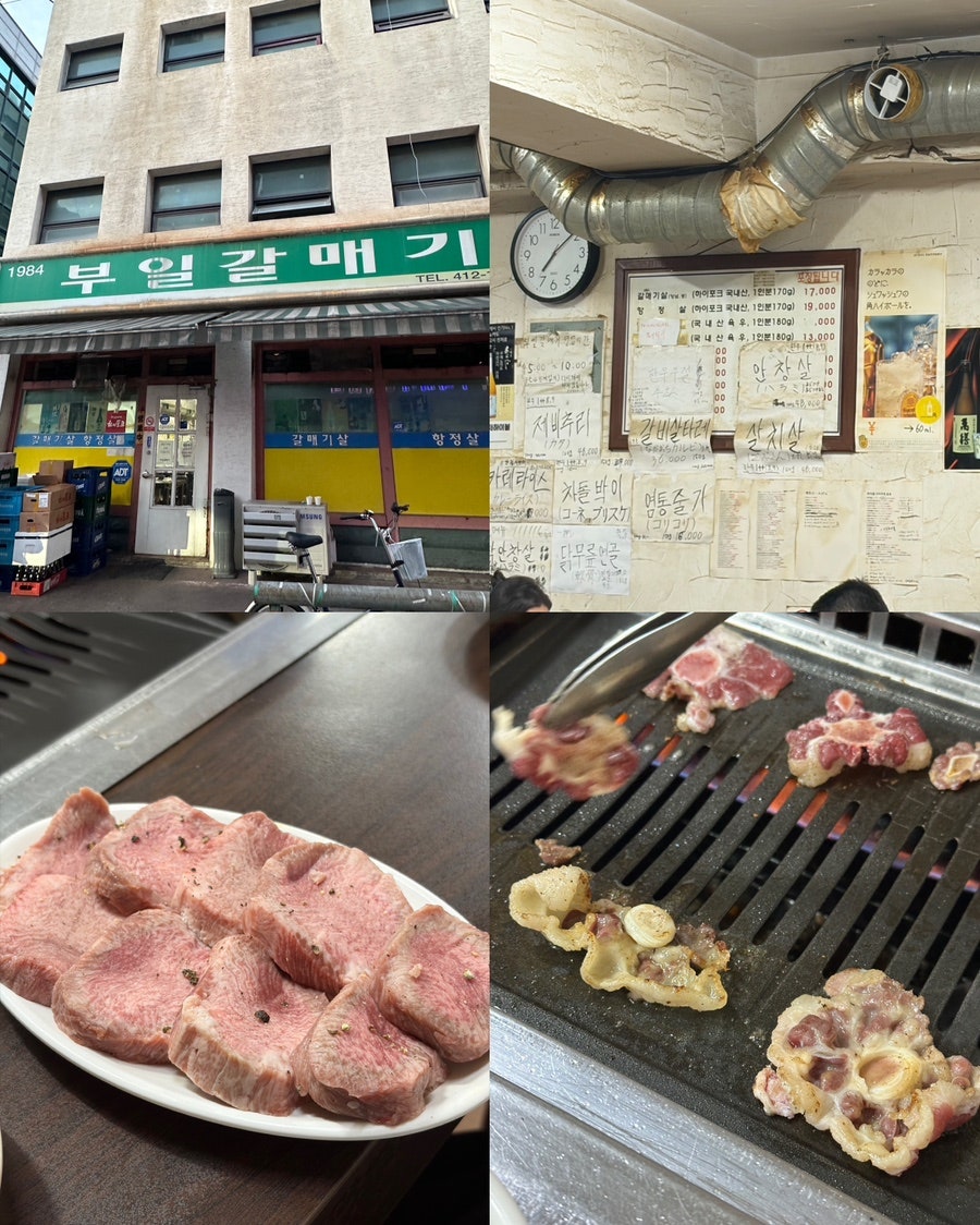 부일갈매기 사진 1
