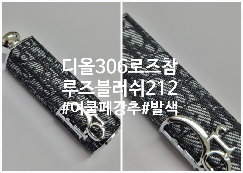 여름쿨톤페일 취향저격한 디올 어딕트 글라스 306 로즈 참, 디올 어딕트 립스틱 패션 케이스(....