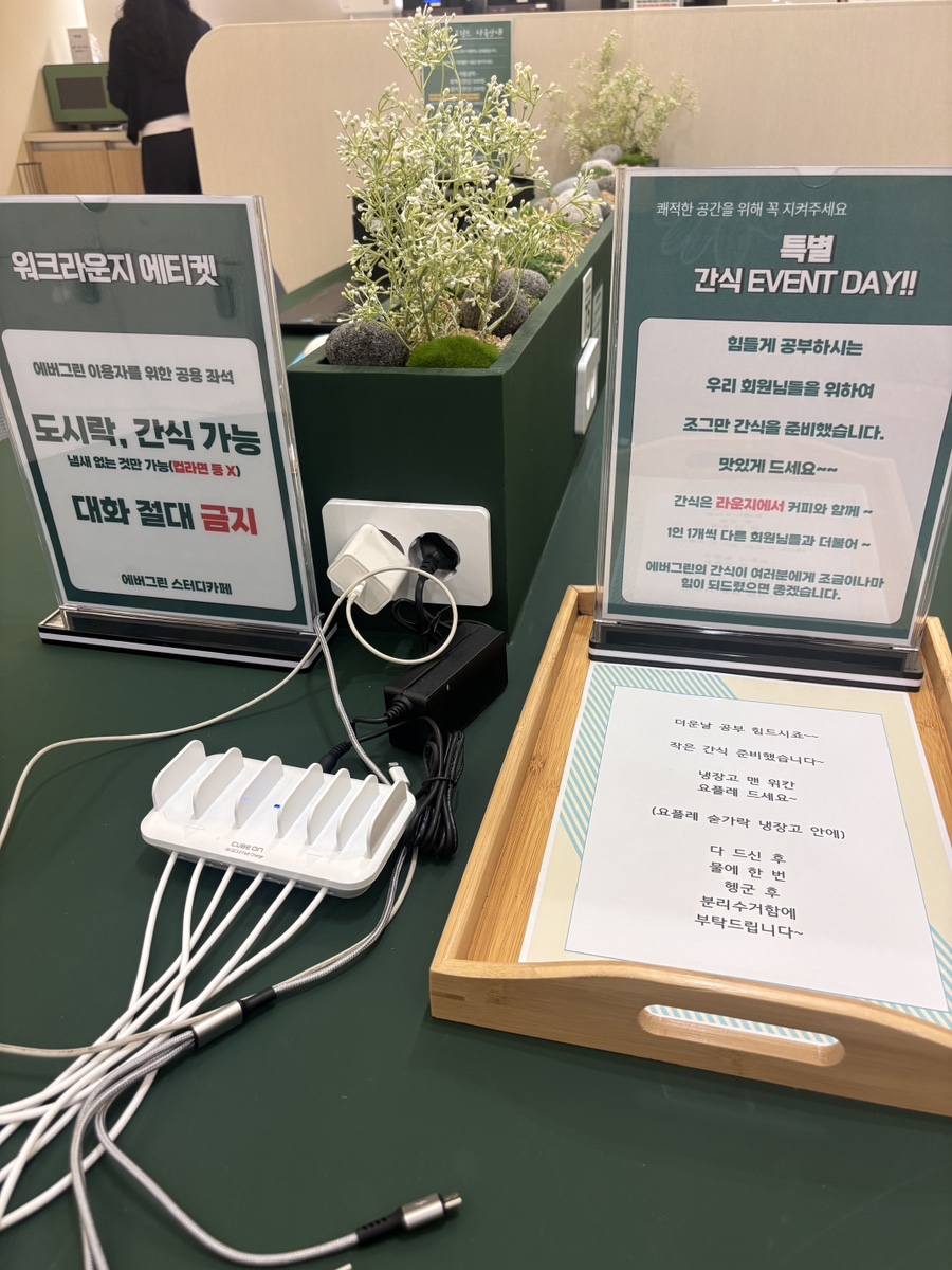 에버그린 사진 1