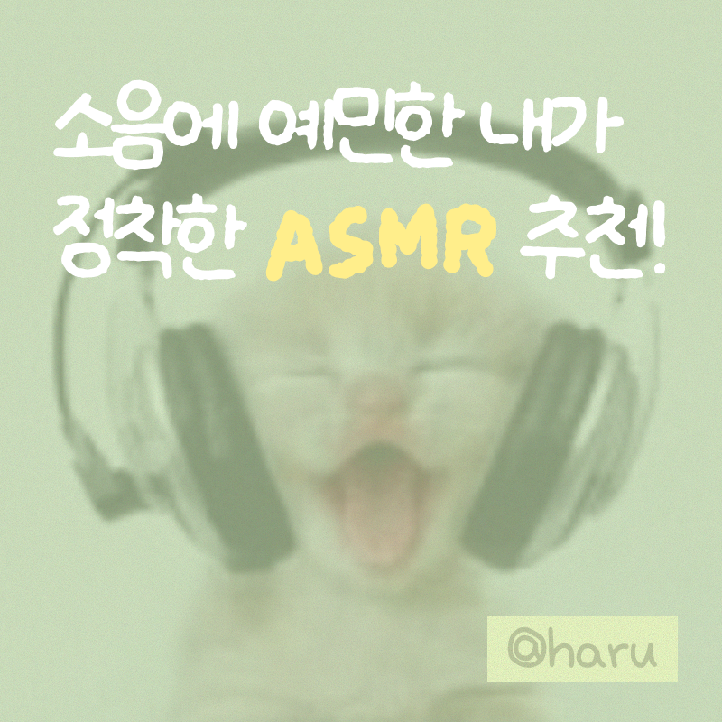 ASMR 추천｜소음에 예민한 사람이 정착한 수면·집중 ASMR·백색소음 9가지