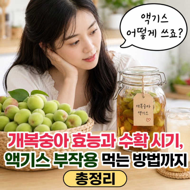 개복숭아 효능과 수확 시기, 액기스 부작용 먹는 방법까지 총정리