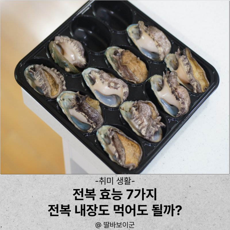 전복 효능 7가지! 전복의 효능과 전복내장 효능, 부작용 알아보기