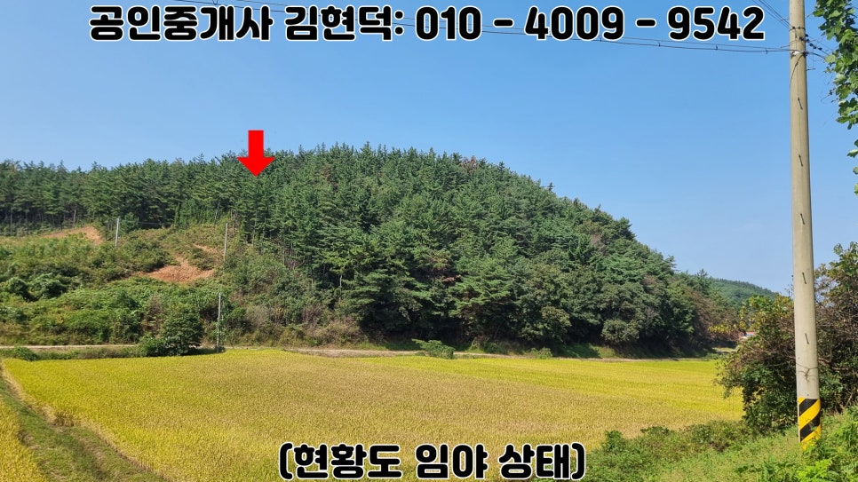 산골 사진 4