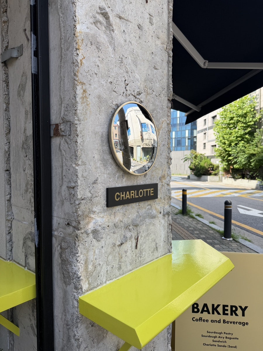 아티초크라보 사진 2