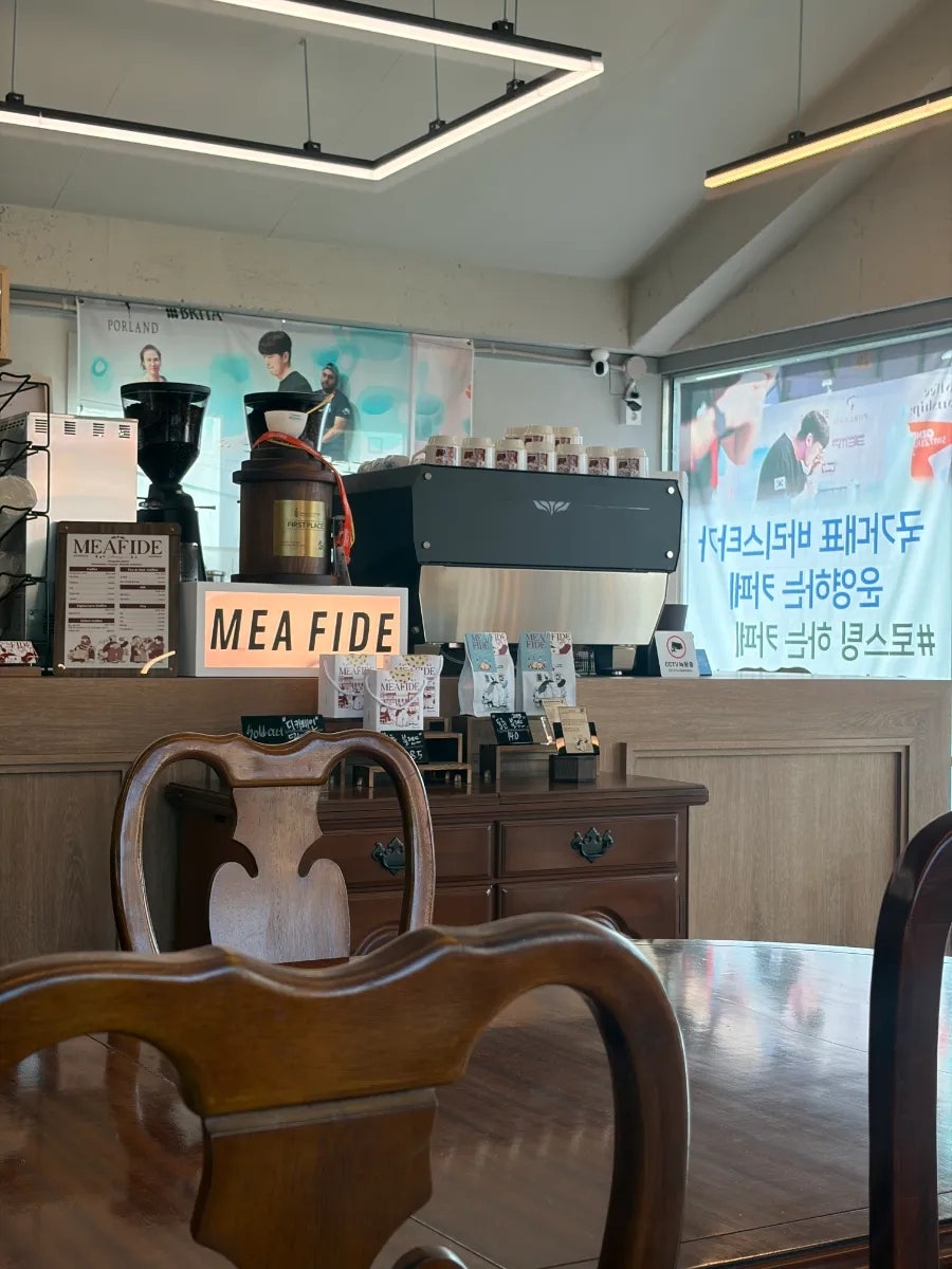 메아피데 사진 3