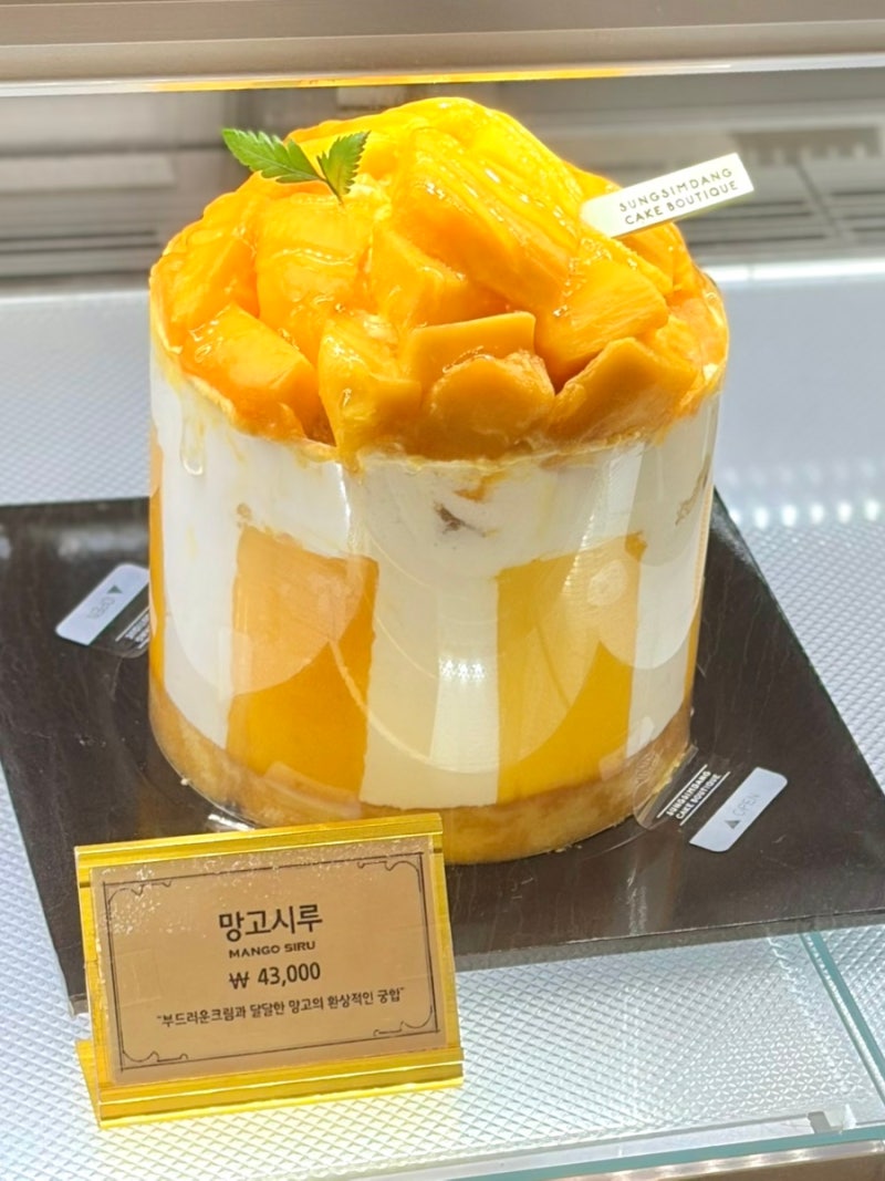 성심당 망고시루 평일 구매 성공! 롯데백화점 품절 후 본점 시루케익 전문점에서 겨우 득템....