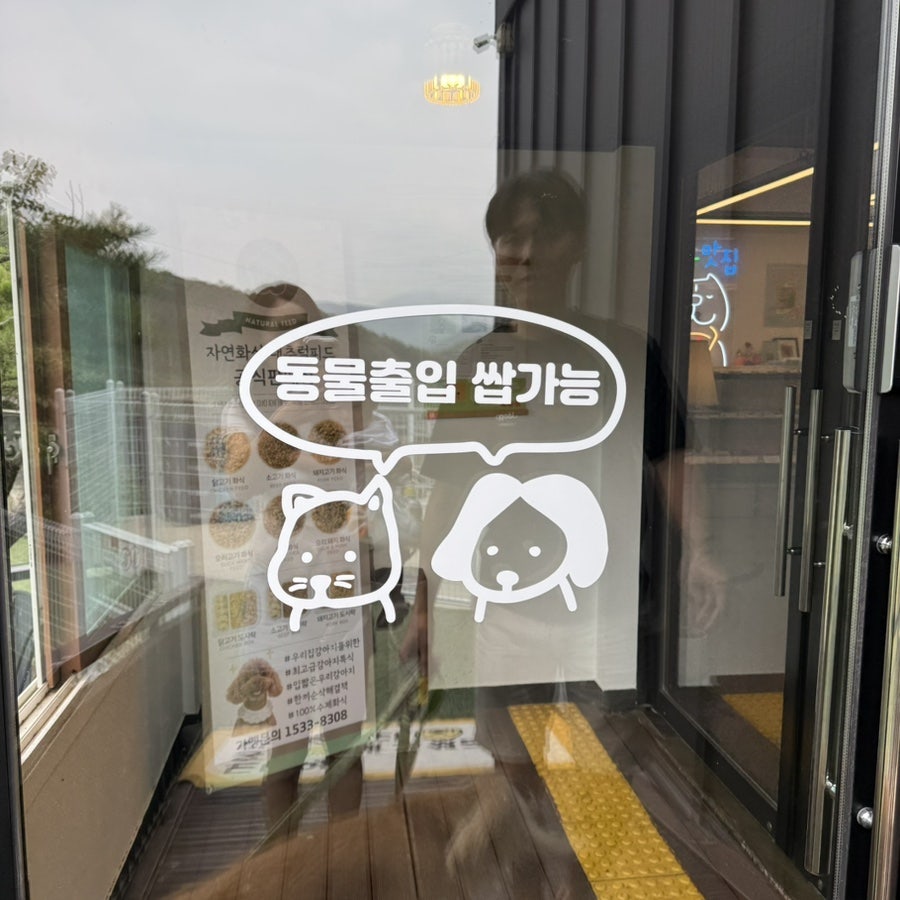 홍시 사진 5