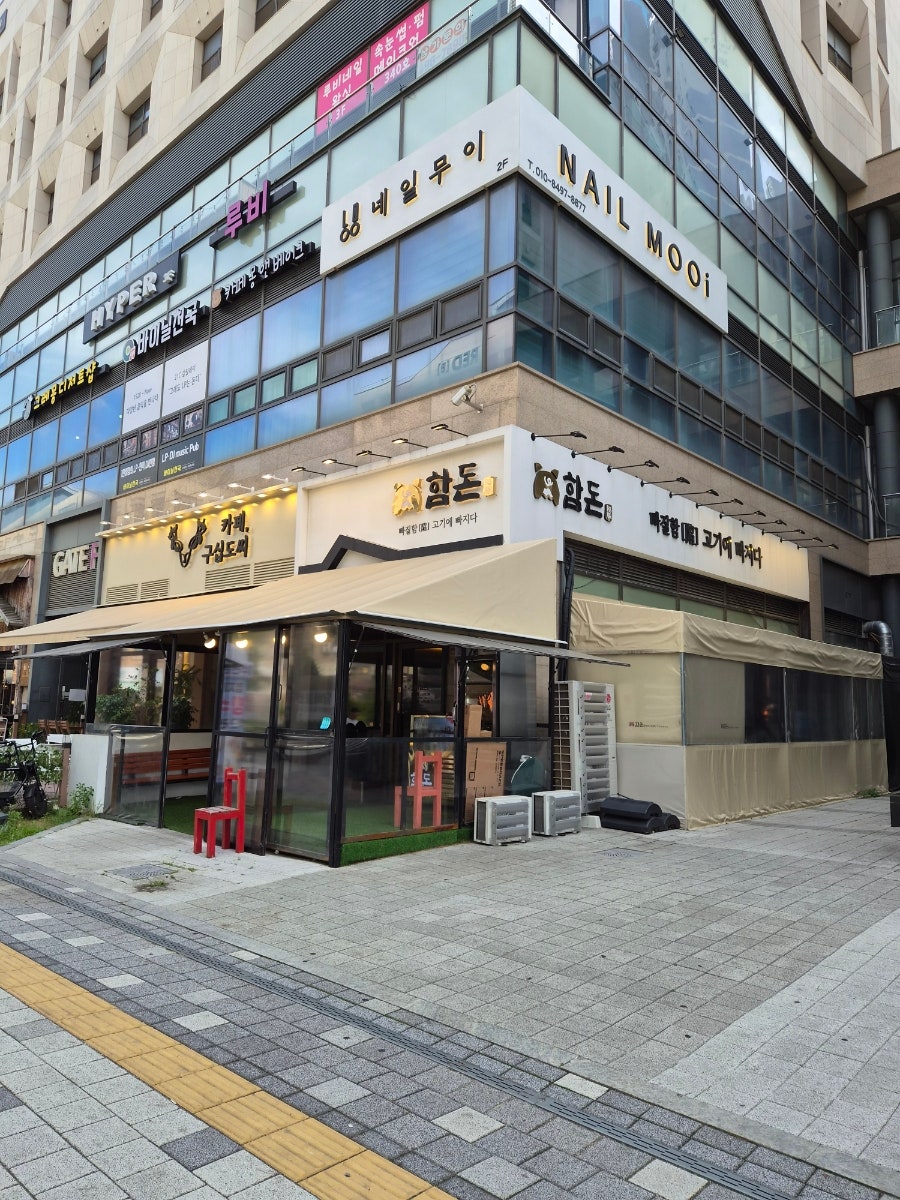 함돈 사진 2