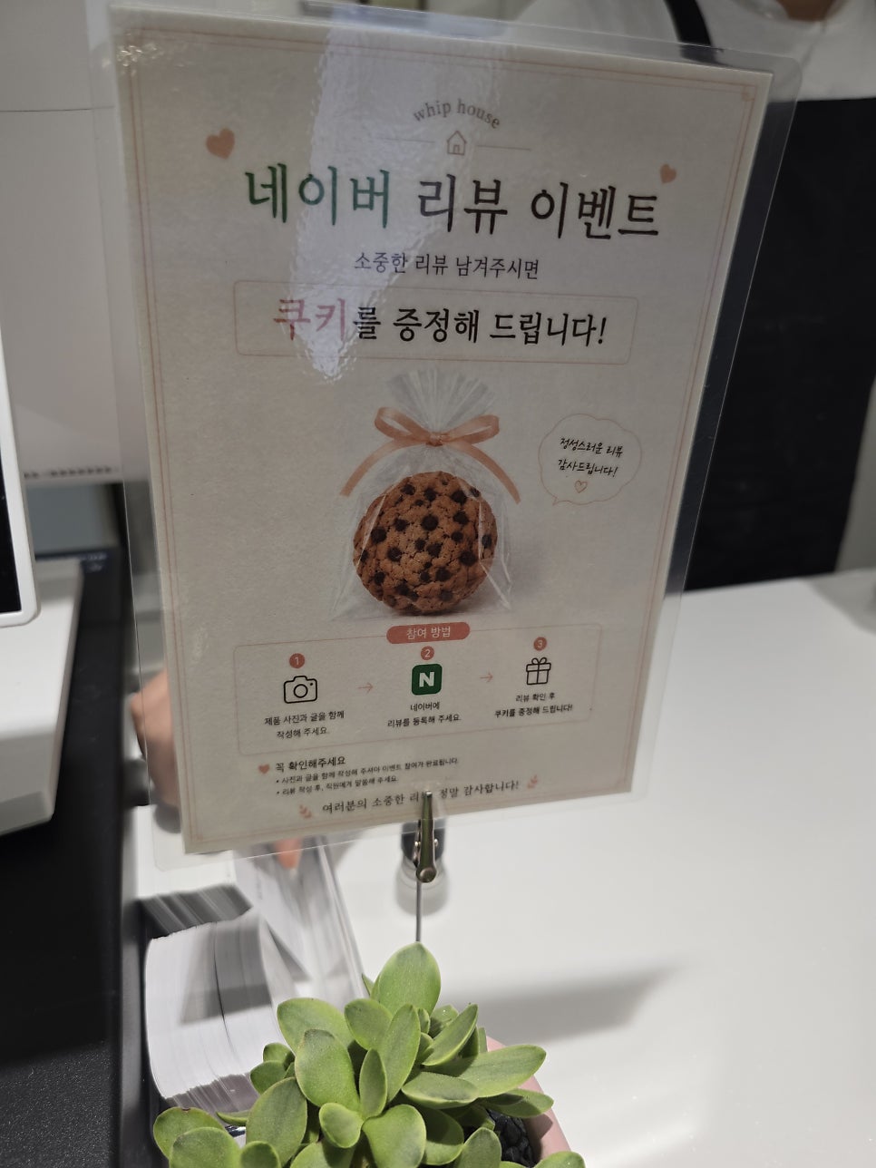 휩 하우스 사진 4