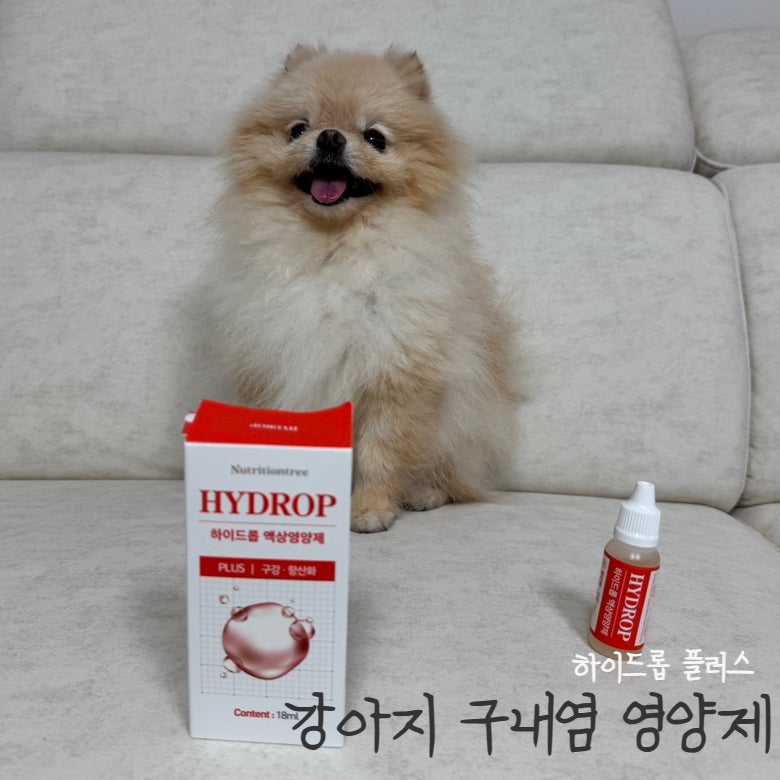 하이드롭 플러스 강아지 구내염 영양제 , 강아지면역력 높이기!