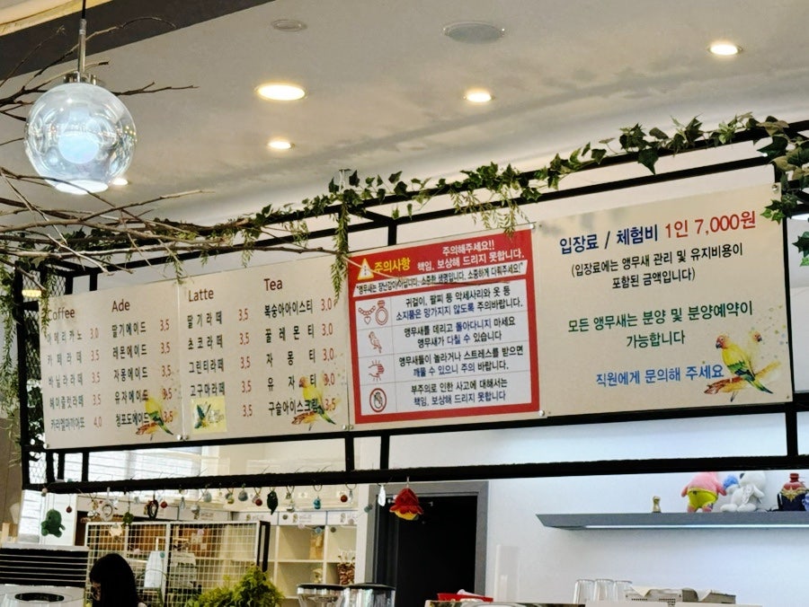 버드리 대전점 사진 2