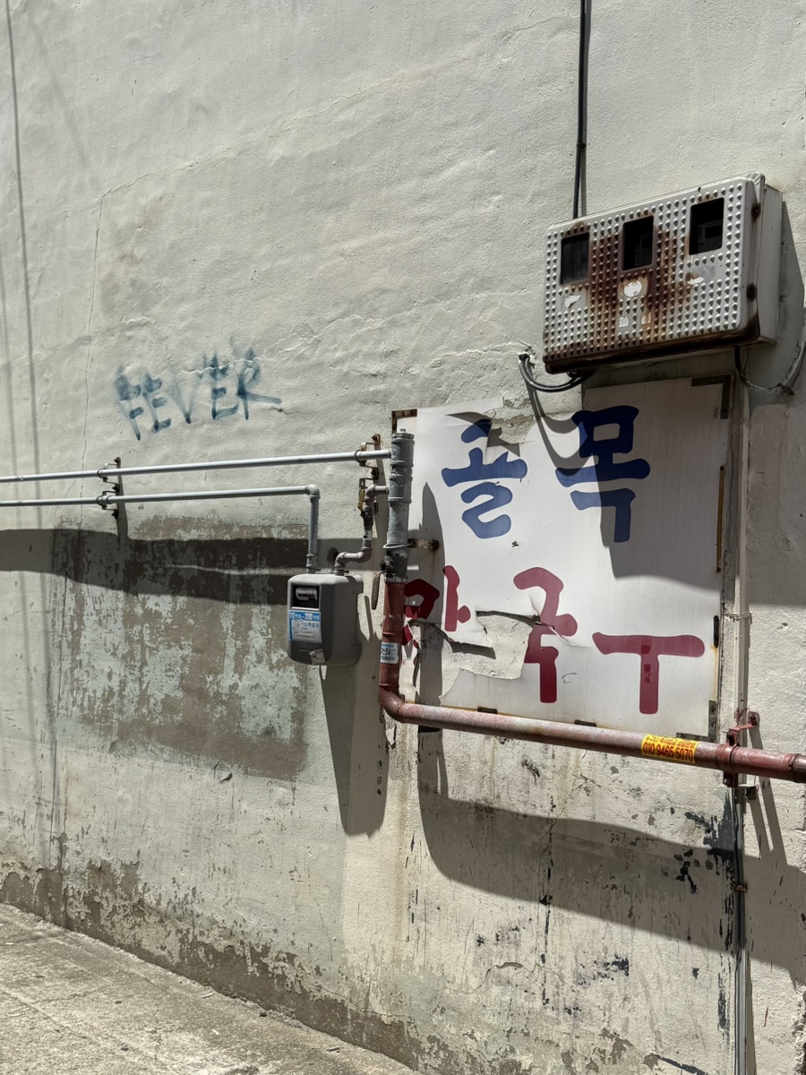 골목칼국수 서정분점 사진 1