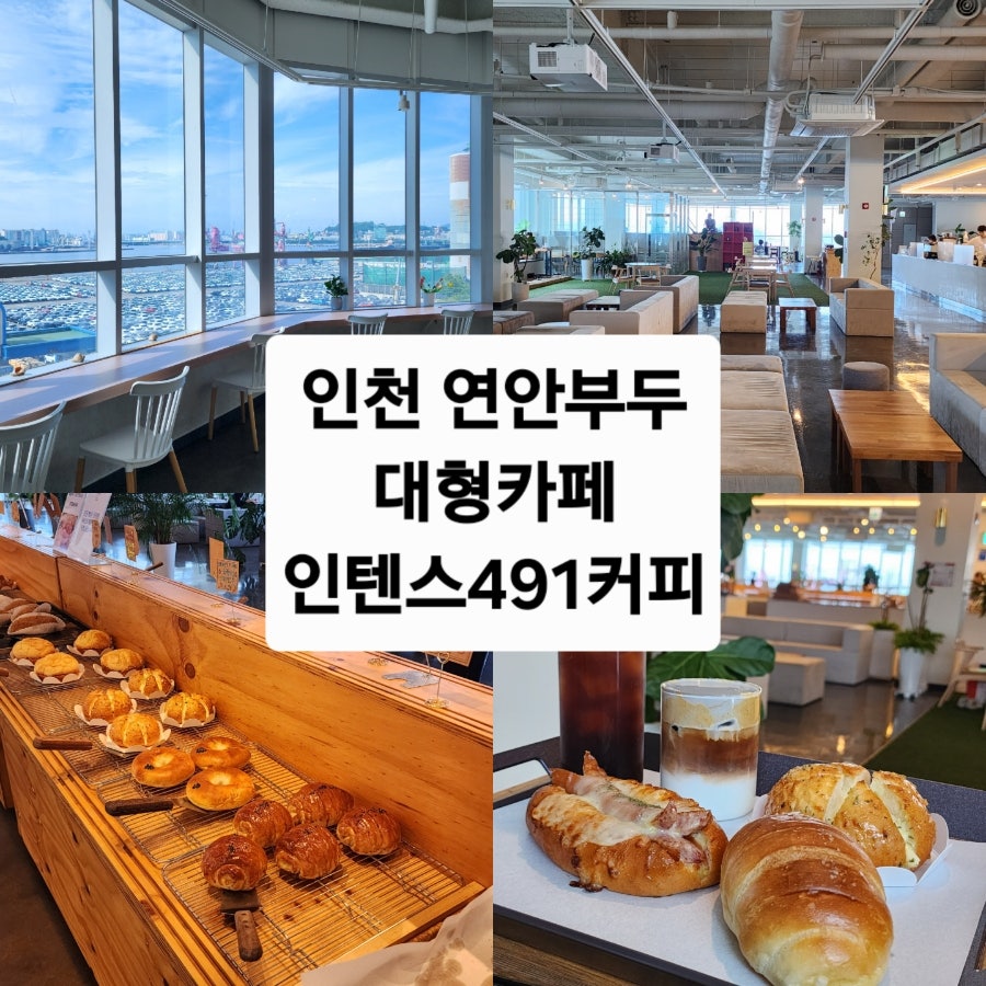 인텐스491 사진 1