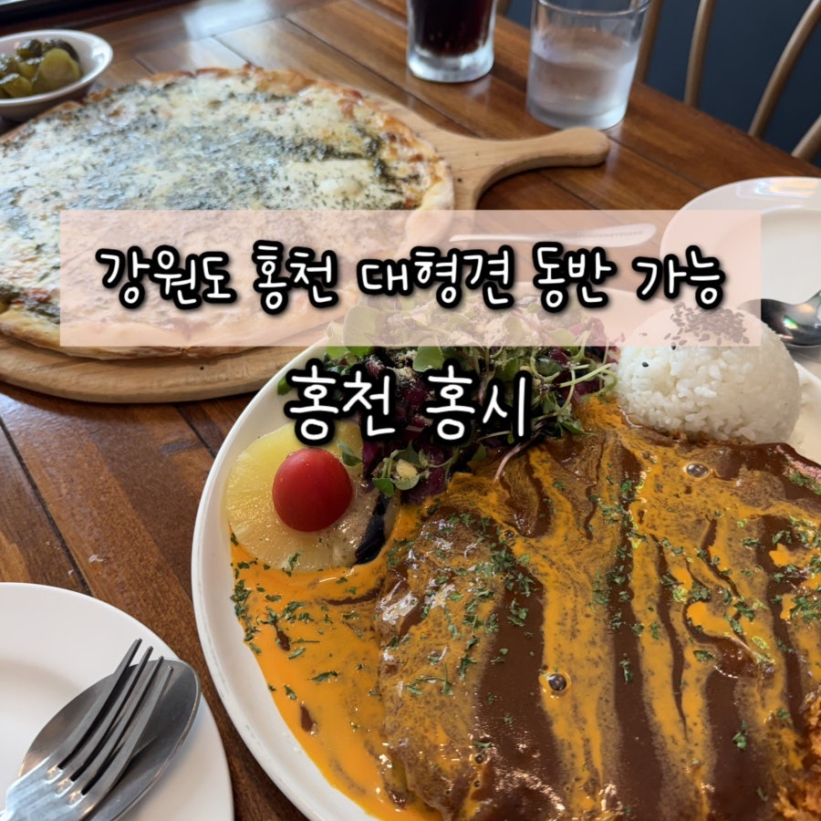 홍시 사진 1