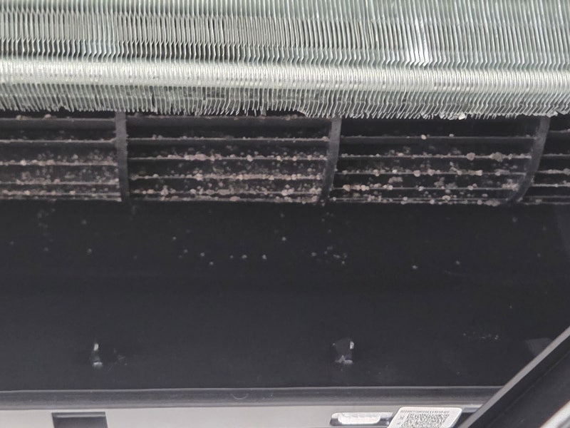 양평동 아파트 삼성 무풍 벽걸이 에어컨 분해 청소 후기, 충격적인 곰팡이 전후 비교 (내돈내....