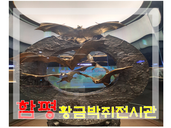 함평 엑스포공원 황금박쥐 전시관에서 황금의 기운을 받아 가세요