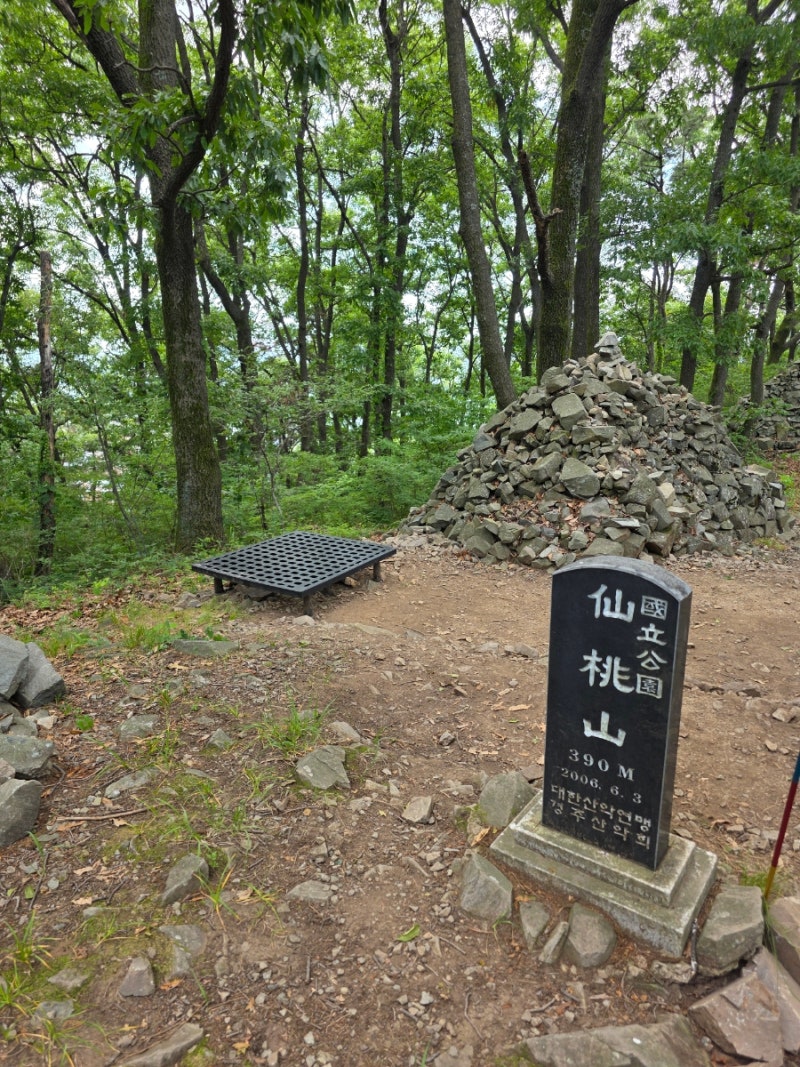 경주 선도산을 가다