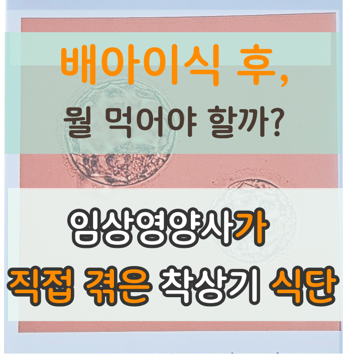 시험관 이식 후 식단, 착상에 도움되는 음식 총종리(임상영양사가 직접 겪은 이야기)