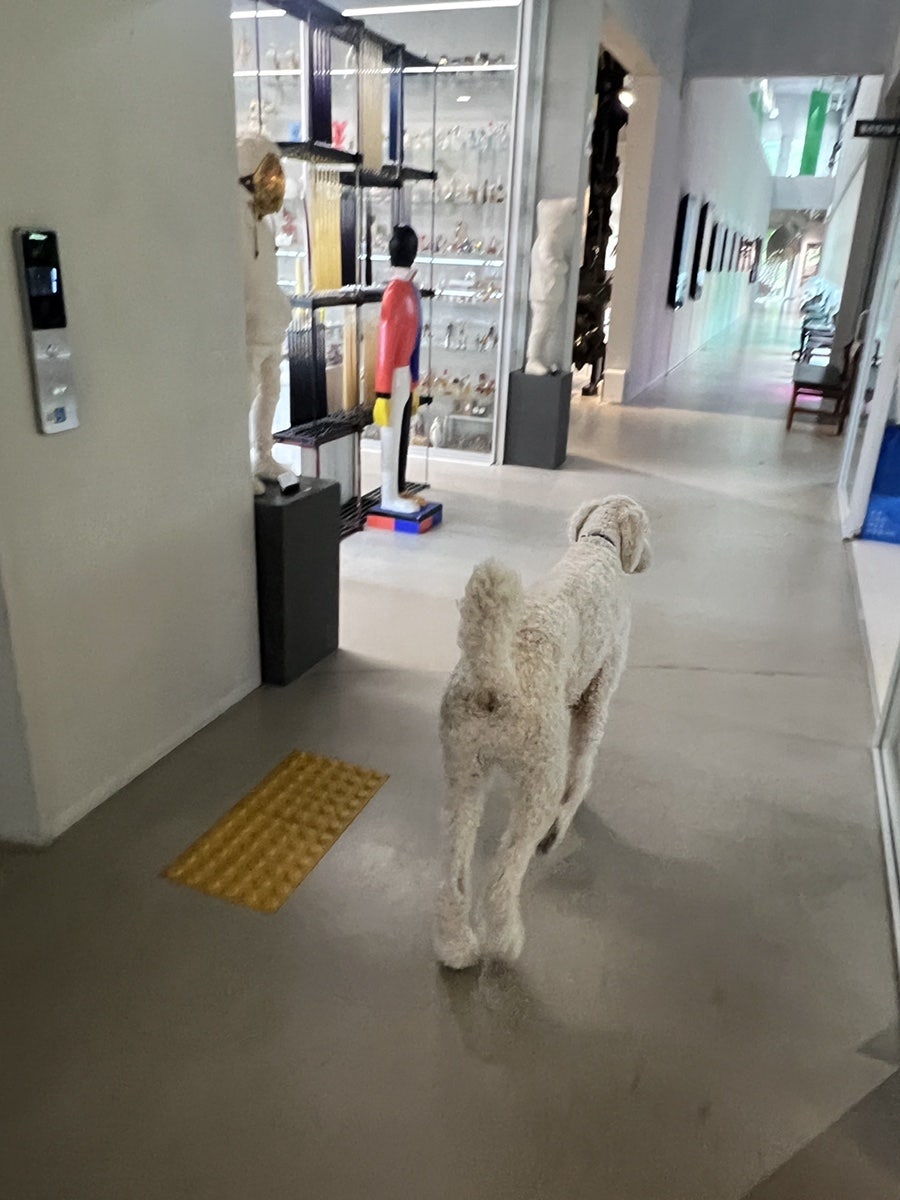 초대 사진 5