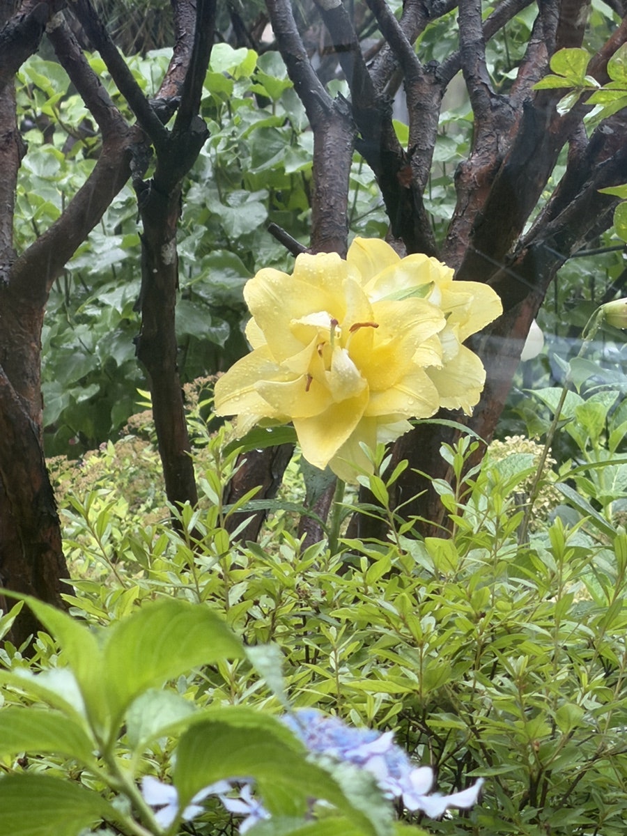 울림테이블바이소일 사진 4