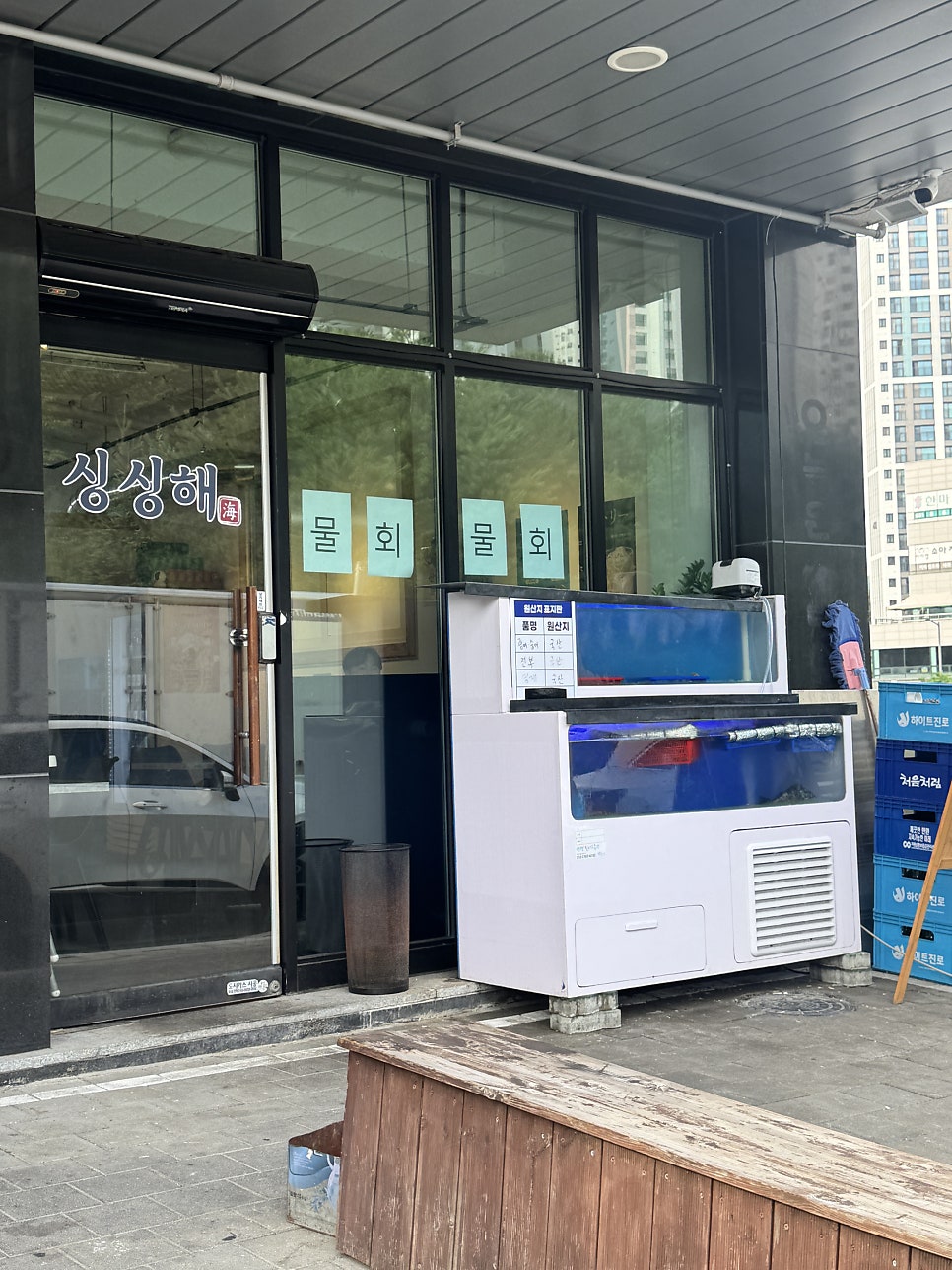 싱싱해 사진 3