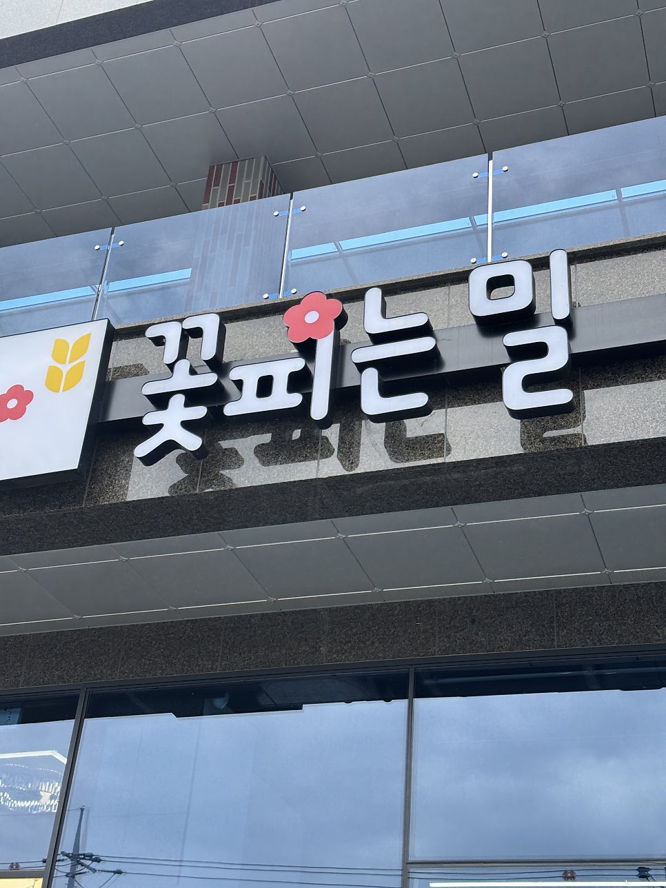 꽃피는밀 사진 2