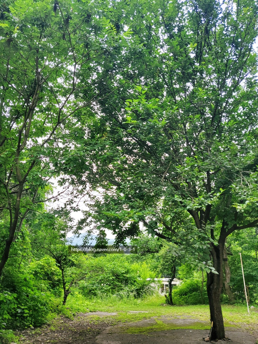 용추계곡유원지펜션 사진 5