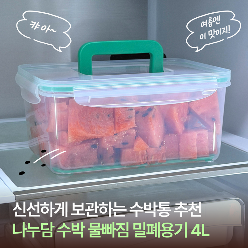나누담 깍둑썰기 수박 보관 끝판왕 수박통 밀폐용기 사용후기