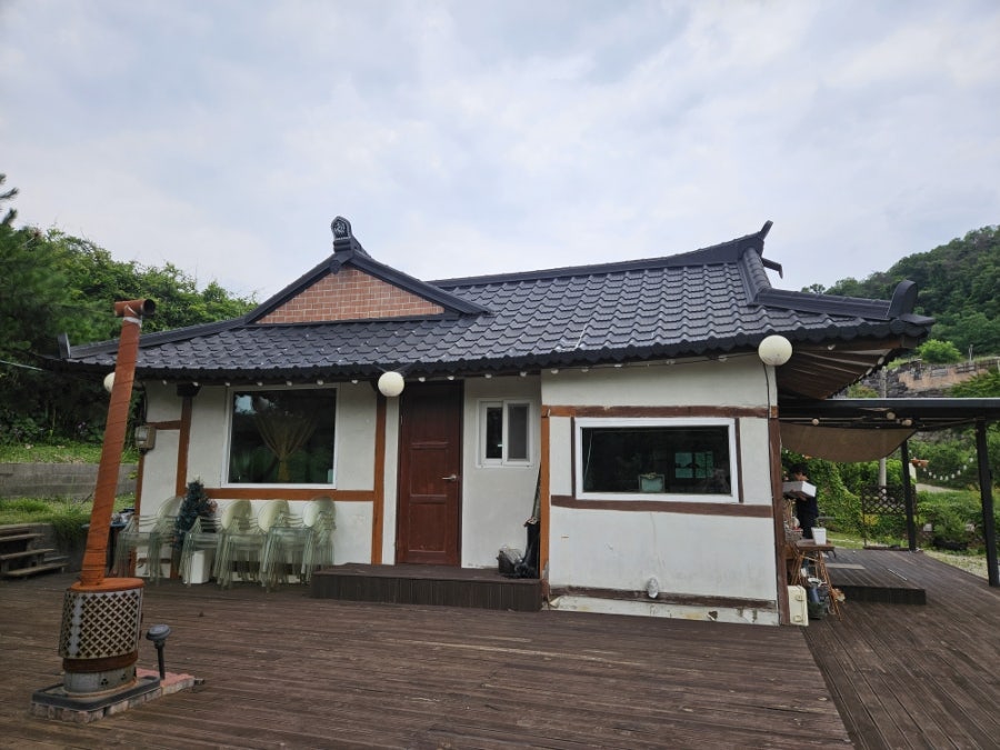 마법의숲 사진 5
