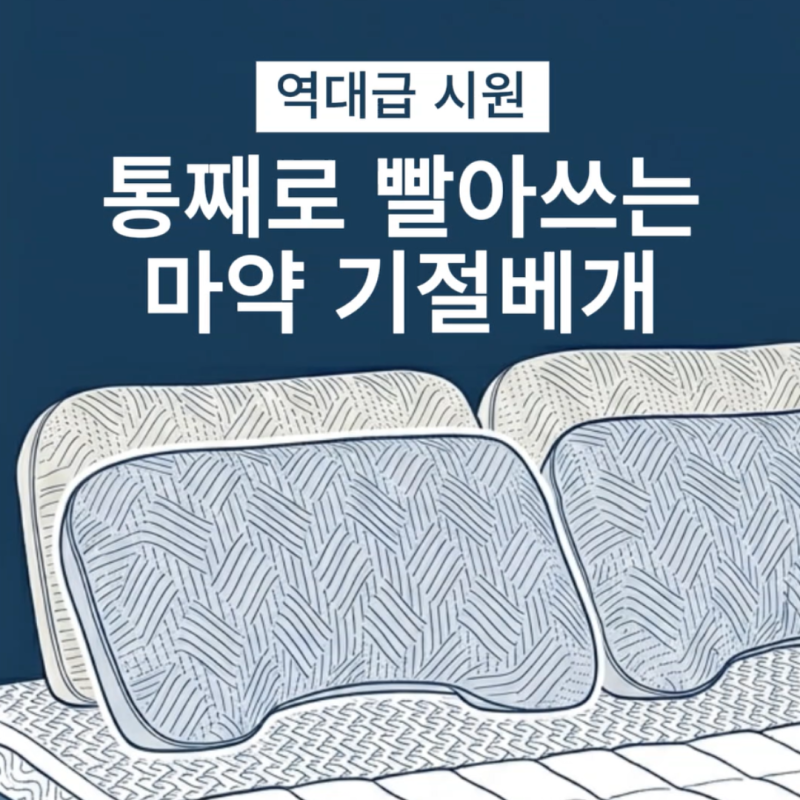 시어서커 통째로 빨아쓰는 마약 기절베개 솔직 후기! 여름 꿀잠 책임지는 경추베개 추천️