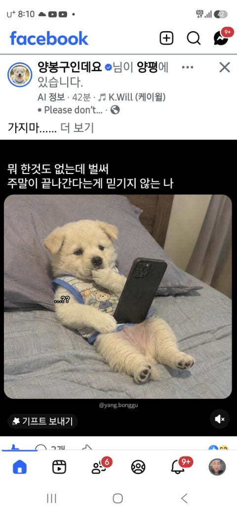 두꺼비포차 사진 6